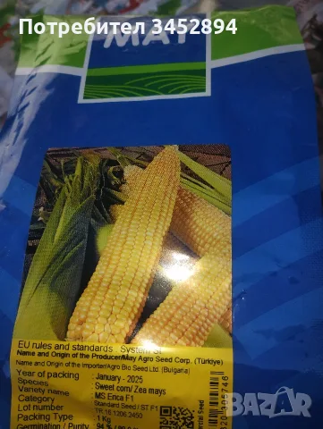 Продавам сладка царевица ., снимка 2 - Домашни продукти - 55529228