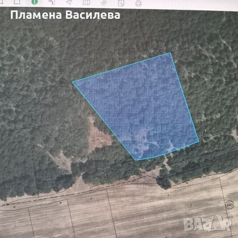 Дъбова гора м-ст Габерлъка