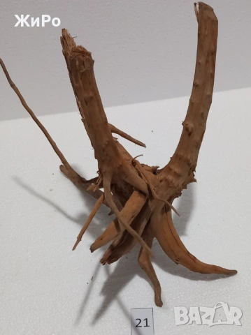 Корен от Азалия /декорация/ 21, снимка 3 - Други - 53396775