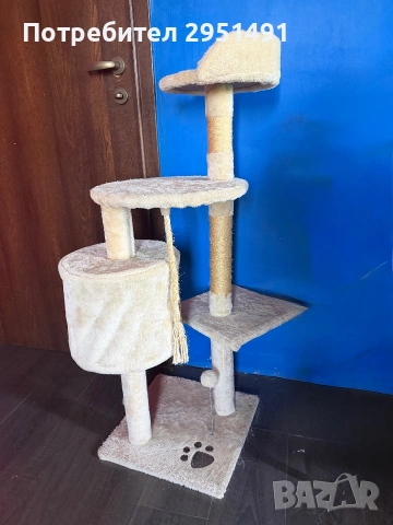 Котешка катерушка