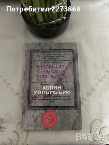 Редки Книги-игри от старата вълна, снимка 10 - Колекции - 55396276
