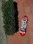 Скейтборд Birdhouse Tony Hawk stage 3, снимка 1