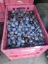 Продавам сливи лично производство , снимка 1