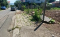 Дворно място с.Тънково. , снимка 8