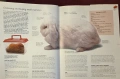 Енциклопедия за домашни любимци / The Hamlyn Family Pet Care Encyclopedia, снимка 4