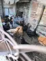 петли от породите Амрок, Съсекс, Черен Мед Маран Катунски сьомгови Орпингтон Зибрайт и още други, снимка 4