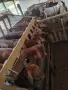 Продавам домашно гледани кози , снимка 3