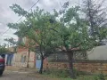 Масивна къща с двор, снимка 6