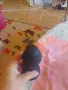 Секс играчка ползвано черно дилдо, снимка 4