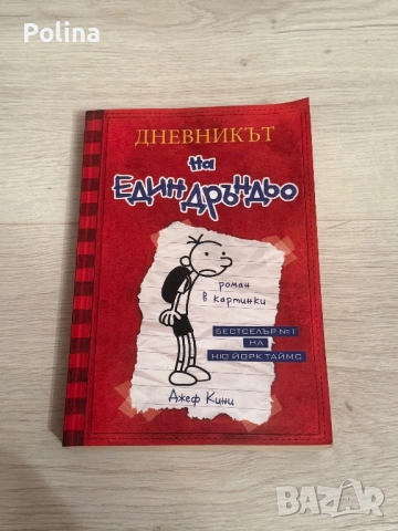 Дневникът на един дръндьо