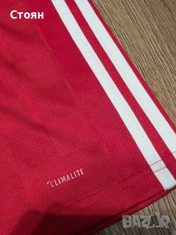 Adidas Egypt фланелка на националния отбор, снимка 5 - Футбол - 54823263