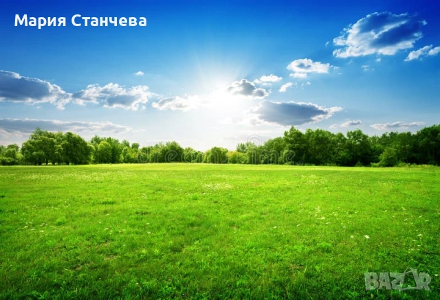 Почистване и абонамент на тревни площи, снимка 2 - Други стоки за дома - 54967511