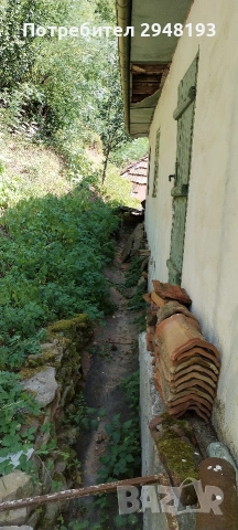 Къща с двор на 12км.от гр. Трявна , снимка 6 - Къщи - 55150942