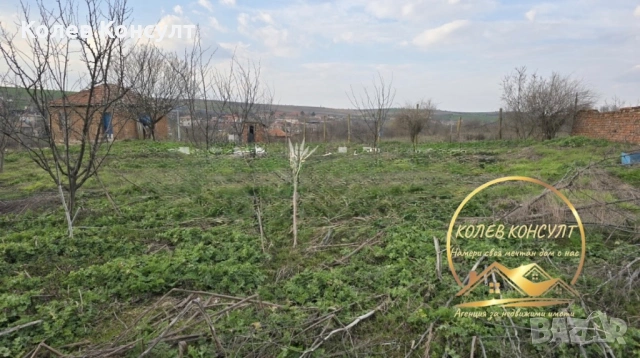 Парцел със стара къща село Георги Добрево, снимка 2 - Къщи - 54374894