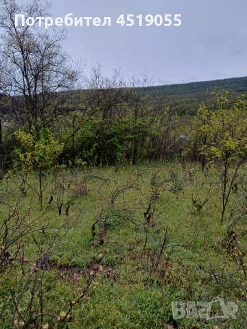 Продава се парцел 5200 м2 с ток и вода и два кладенеца в гр Аксаково , снимка 2 - Други услуги - 54385261
