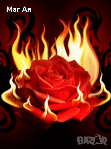 АЯ- ВИСОКА СТОЙНОСТ на услугата. Върни светлината в живота си