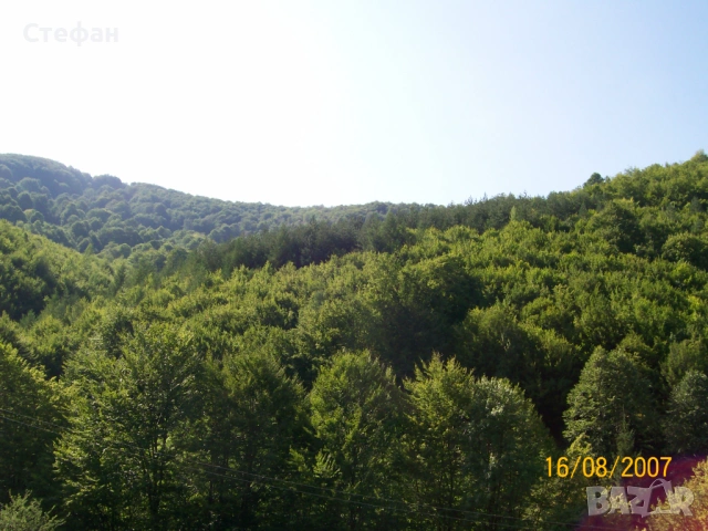 Имот в сърцето на Балкана, снимка 2 - Земеделска земя - 53984006