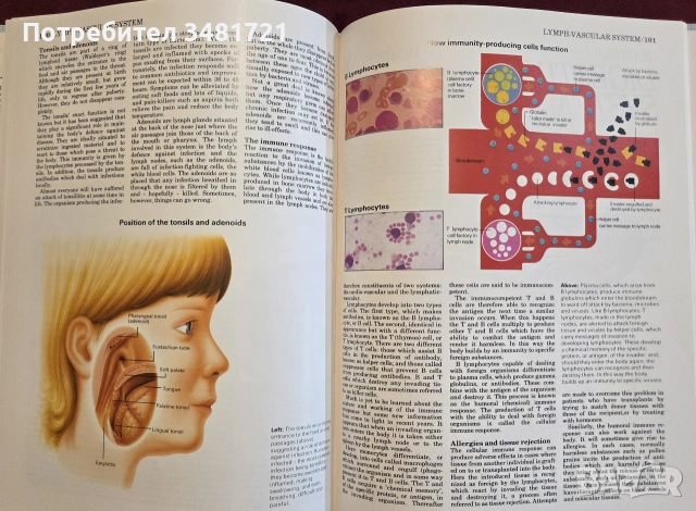 Атлас по анатомия / Atlas of Anatomy, снимка 8 - Специализирана литература - 55064882
