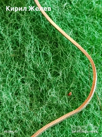 Сребърен синджир плетка тип змийска кожа майсторска изработка 51781, снимка 2 - Колиета, медальони, синджири - 54006187