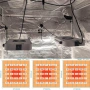 FRGROW 65W димируема LED лампа за растения, снимка 6