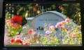 Геймърски Монитор BenQ , снимка 1