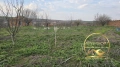 Парцел със стара къща село Георги Добрево, снимка 2
