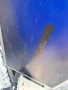 POWER BOARD ,17IPS17-2,V1 070809,for 22inc DISPLAY LTA216AT01 , CROWN  модел TFT LCD 22884​ , снимка 10
