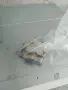 Пералня със сушилня за вграждане Siemens, снимка 2