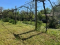 Къща в с. Телиш, снимка 10