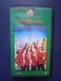 Видеокасета VHS Тримата Мускетари , снимка 1