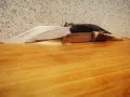 Габровски сойки от колекция Нови!, снимка 3