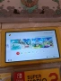 Хакнат Nintendo Switch Lite, снимка 15