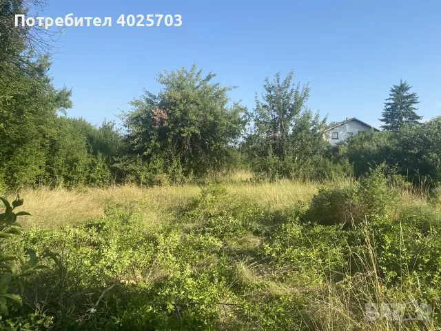 Косене и почистване на парцели , снимка 5 - Други почистващи услуги - 55327909