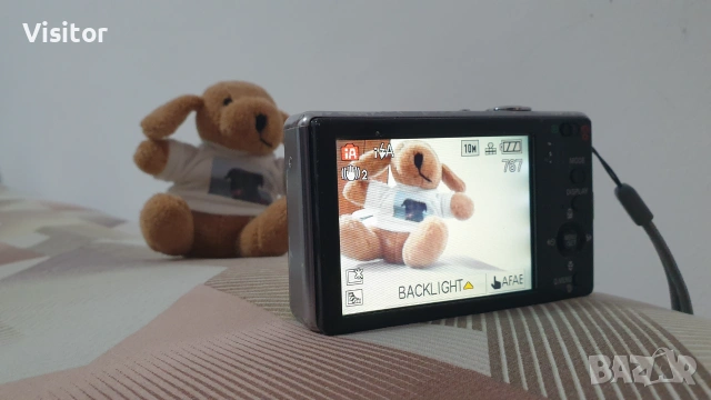 Panasonic Lumix  DMC-FX550 - 10.1 mPx, снимка 4 - Фотоапарати - 54965381