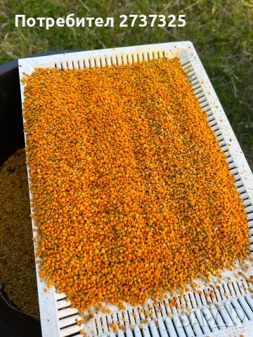 Продавам пчелен прашец 