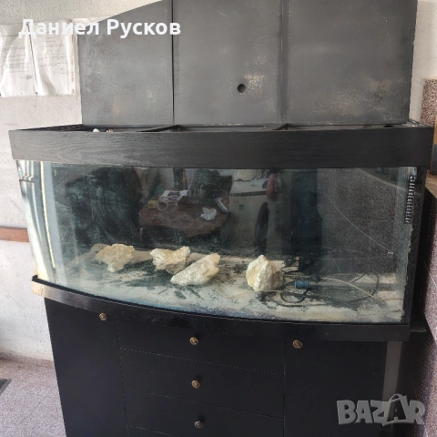 Аквариум със заоблено стъкло, снимка 7 - Аквариуми - 54446906