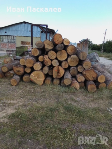 Дьбови и букови янове, снимка 2 - Дърводелски услуги - 54734424