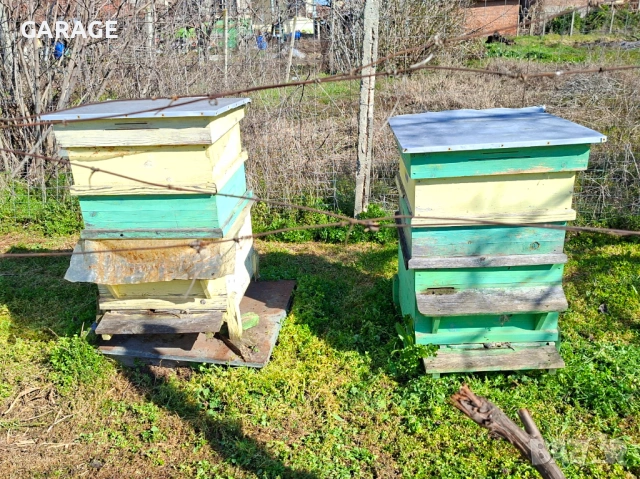 Пчелни семейства. Кошери. Пчеларски инвентар., снимка 3 - За пчели - 54446965
