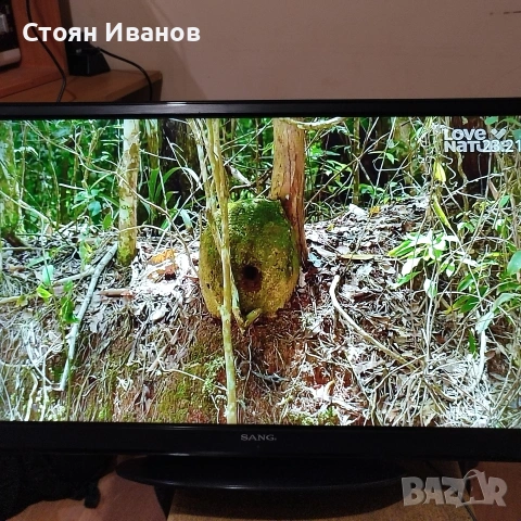 32" телевизор Sang