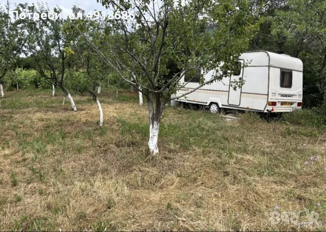 ПРОДАВА СЕ ЛОЗЕ , снимка 2 - Земеделска земя - 55661714