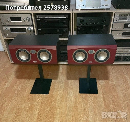 TANNOY Reveal 66 P - в перфектно състояние !, снимка 4 - Тонколони - 54980851