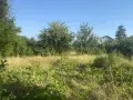 Косене и почистване на парцели , снимка 5