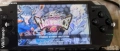 PSP 2003, снимка 8