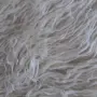 nov bjal kitenik, снимка 1