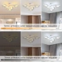 LED Полилей във форма на звезда, димируем, 3000-6500K, снимка 2