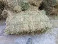 Бали сено и люцерна , снимка 4
