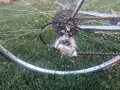 Шосеен велосипед Pinarello Asolo, снимка 7