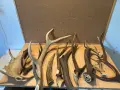 11 броя рога от елен, снимка 4