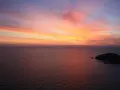 Орхидея в стъклена саксия с земя готова за отглеждане 6S9I, снимка 2
