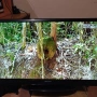 32" телевизор Sang, снимка 1